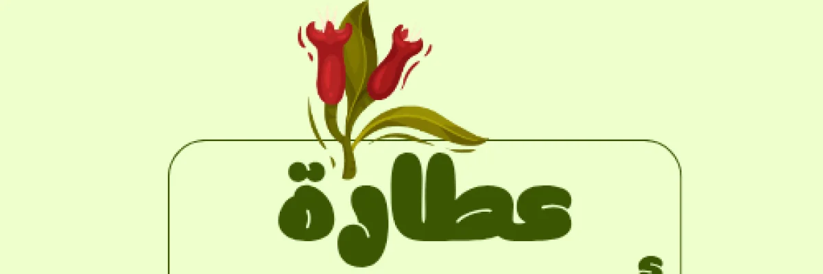 غلاف عطارة أولاد سعد
